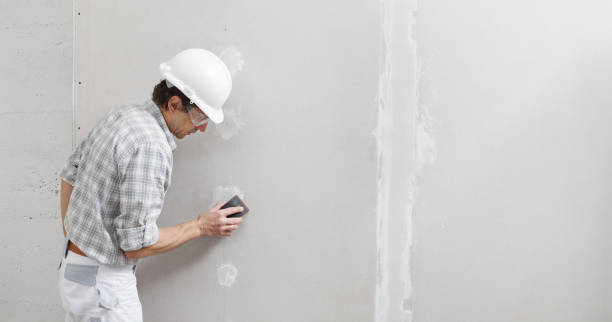 Best Basement Mold Removal  in Jackson, MO