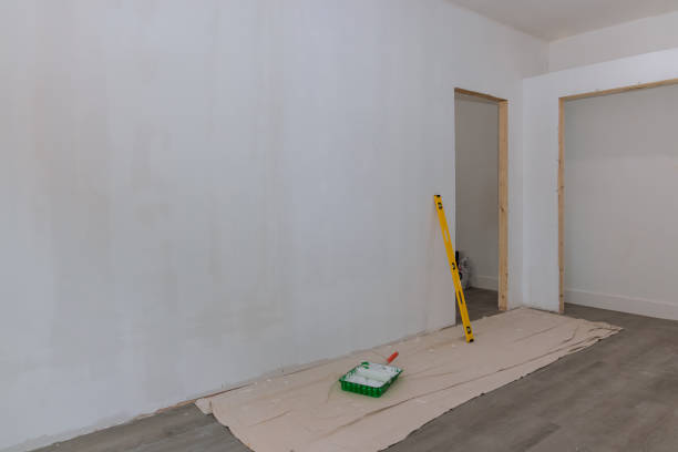 Jackson, MO Mold Removal Company