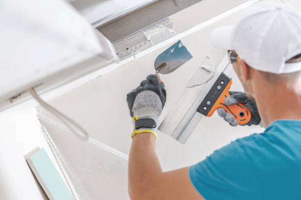 Best Asbestos and Lead Testing During Mold Inspection  in Jackson, MO